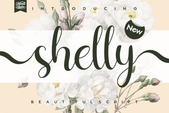 Shelly: A Font That Elevates Design